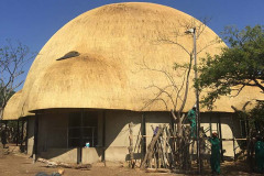 Dome Zulu Nyala Hluhluwe
