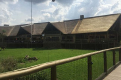 New Lion & Safari Park
