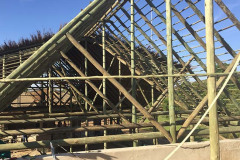 New Lion & Safari Park