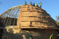 New Lion & Safari Park