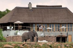Mhondoro Lodge