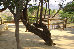 Phululuka-Lodge-33