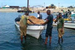 Roca das Mangueiras Musulo Luanda