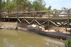 Roca-das-Mangueiras-51