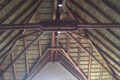 Sterkfontein-3