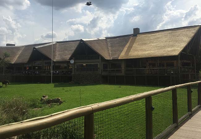 New Lion & Safari Park