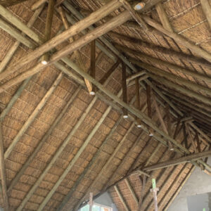 Evergreen Thatching - Thatching